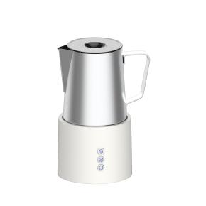 Milk Frother B